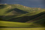 Khangai Berge, Mongolei
